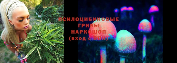 винт Абаза