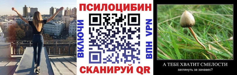 Псилоцибиновые грибы Psilocybe  mega зеркало  Эртиль 